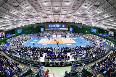 写真：観客席から見た試合の様子
